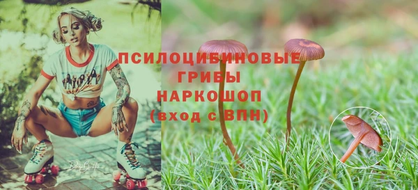 СК Майский