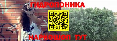 apvp Балашиха