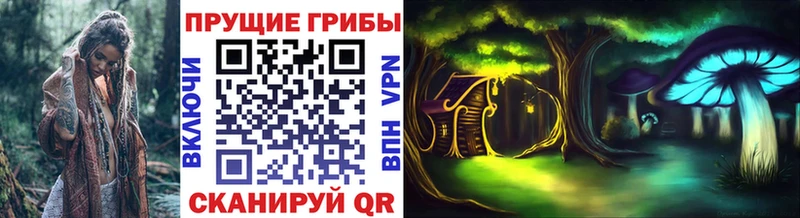 KRAKEN рабочий сайт Тольятти Галлюциногенные грибы MAGIC MUSHROOMS