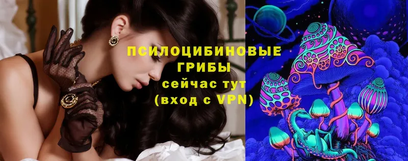 Галлюциногенные грибы Magic Shrooms  блэк спрут как войти  Тольятти 