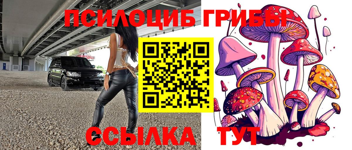 Галлюциногенные грибы GOLDEN TEACHER Тольятти