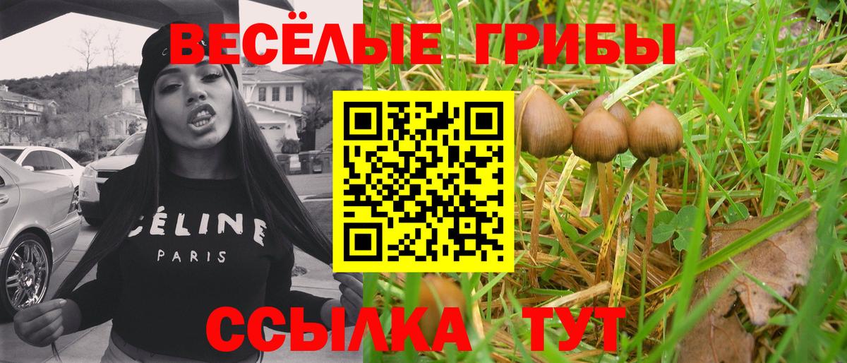 Псилоцибиновые грибы GOLDEN TEACHER Тольятти