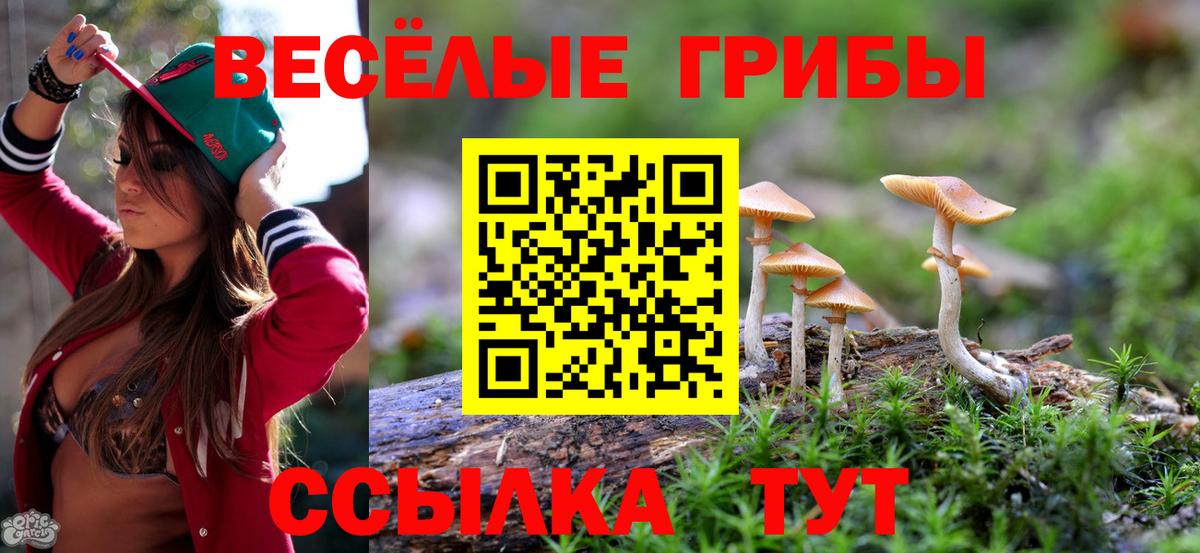 Галлюциногенные грибы Psilocybe  Тольятти 