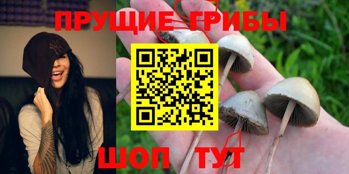 Тольятти  Псилоцибиновые грибы мухоморы  Вход с VPN  Галлюциногенные грибы ЛСД 