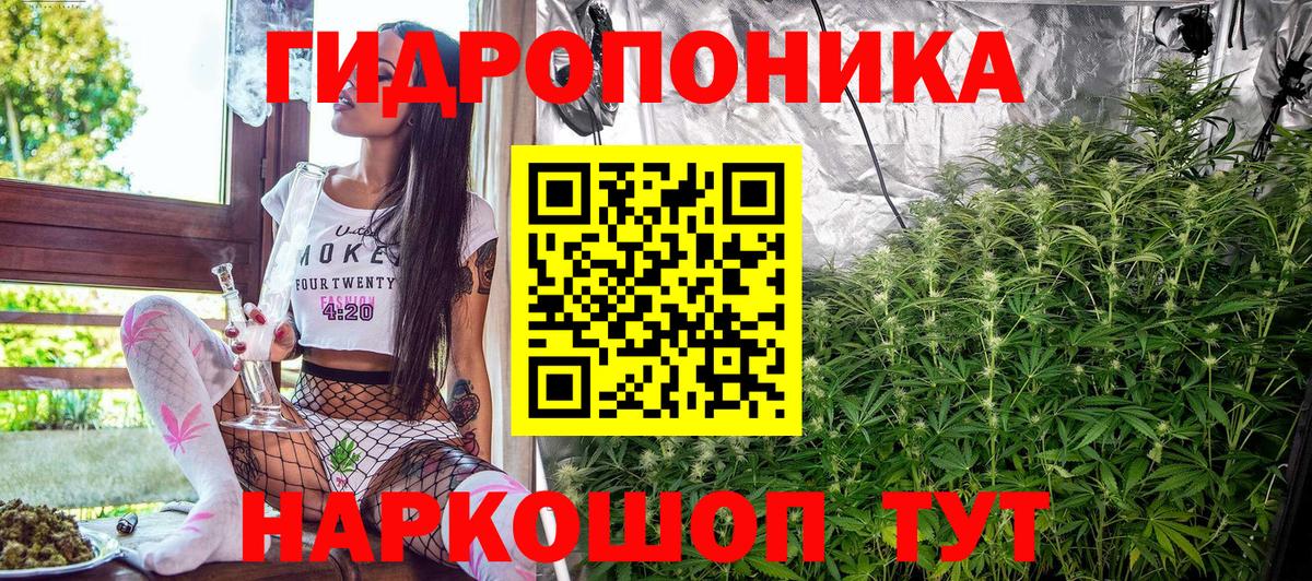 Конопля Bruce Banner  Шишки марихуана Ganja  Тольятти  Канабис MAZAR  Марихуана гибрид 